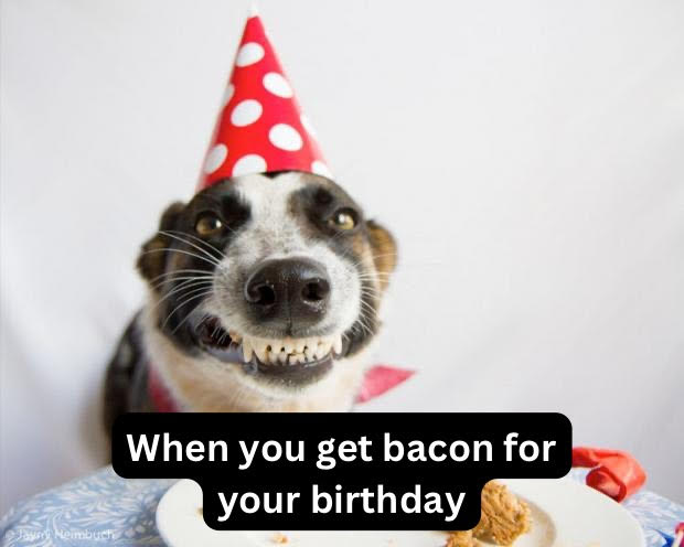 Birthday Bacon Bag